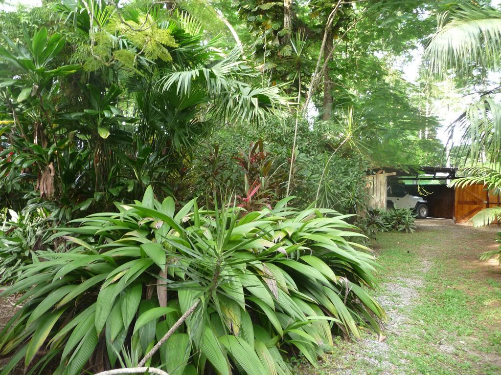 Topos Tree House كويتا المظهر الخارجي الصورة