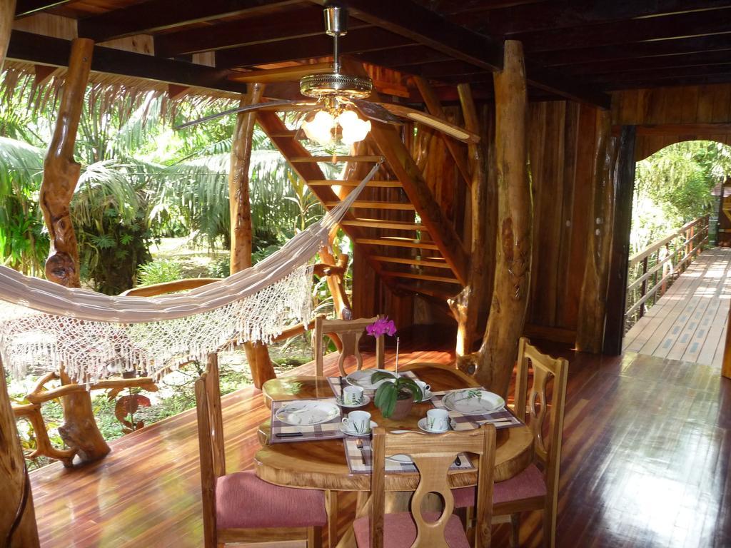 Topos Tree House كويتا المظهر الخارجي الصورة