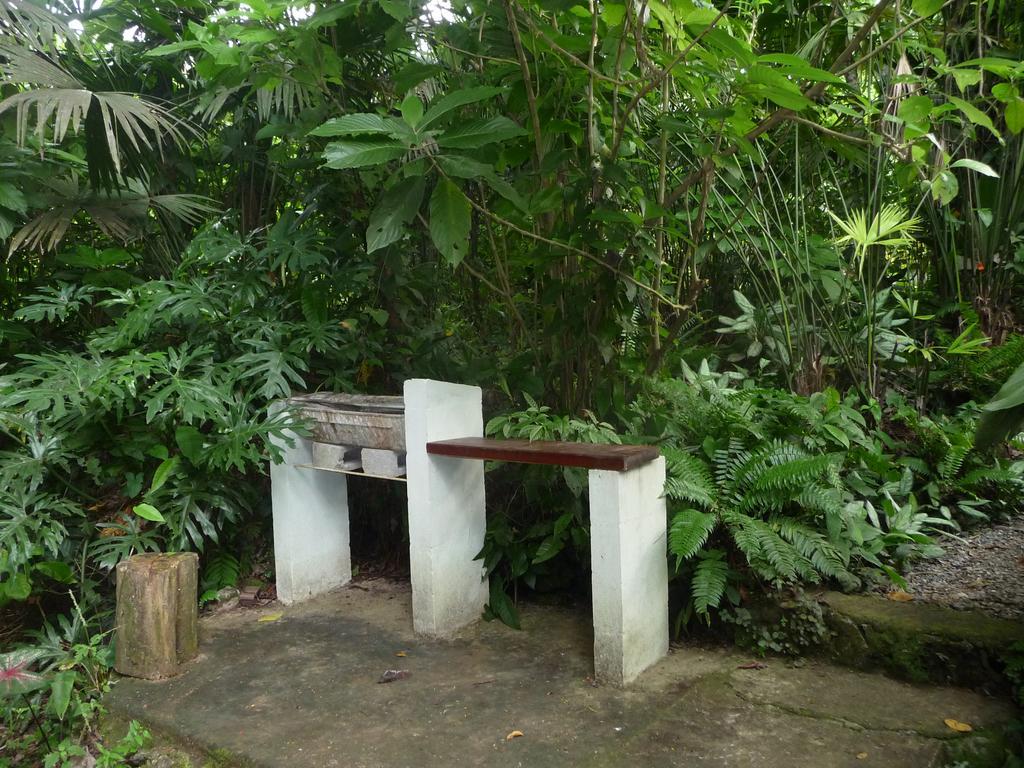 Topos Tree House كويتا المظهر الخارجي الصورة