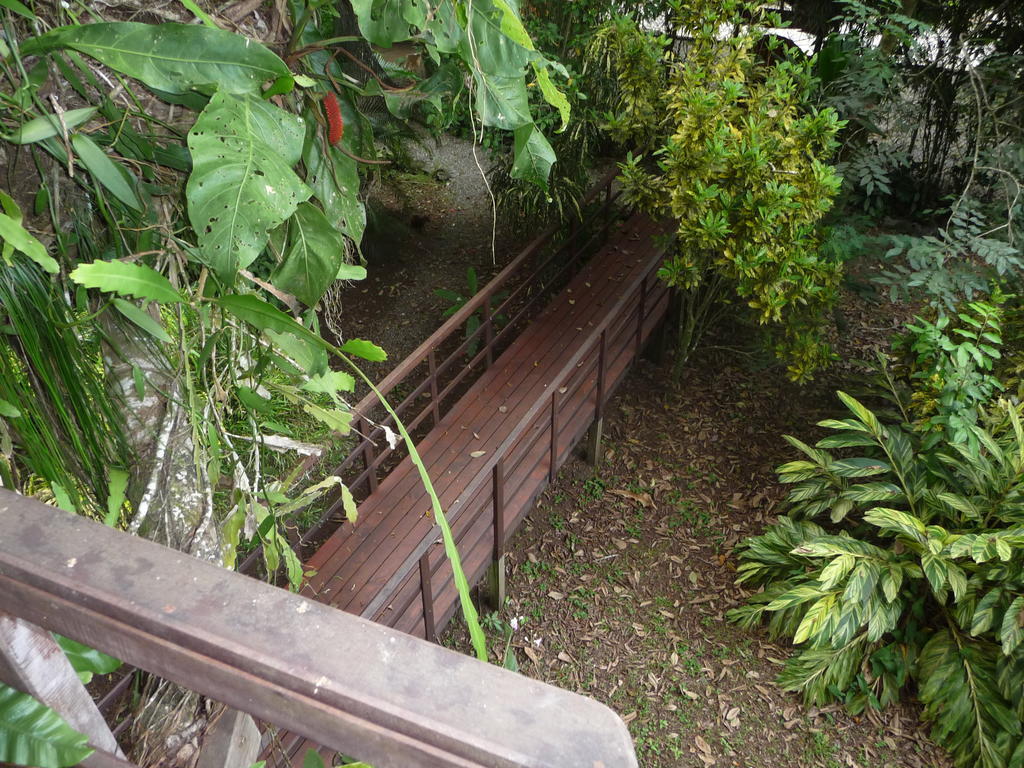 Topos Tree House كويتا المظهر الخارجي الصورة