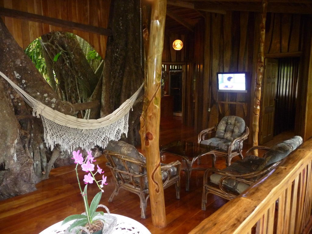 Topos Tree House كويتا المظهر الخارجي الصورة