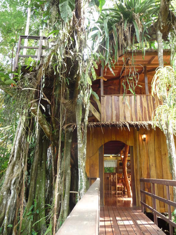 Topos Tree House كويتا الغرفة الصورة