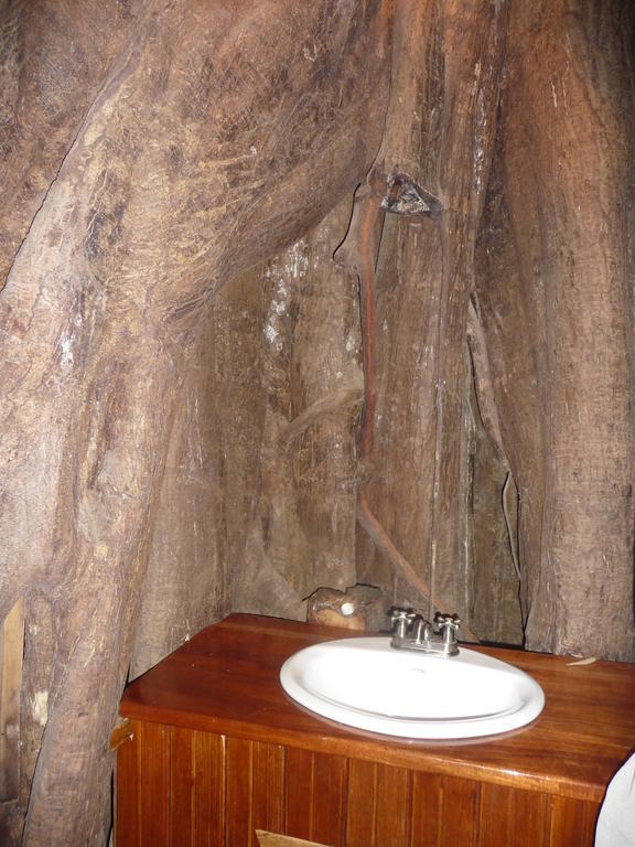 Topos Tree House كويتا المظهر الخارجي الصورة