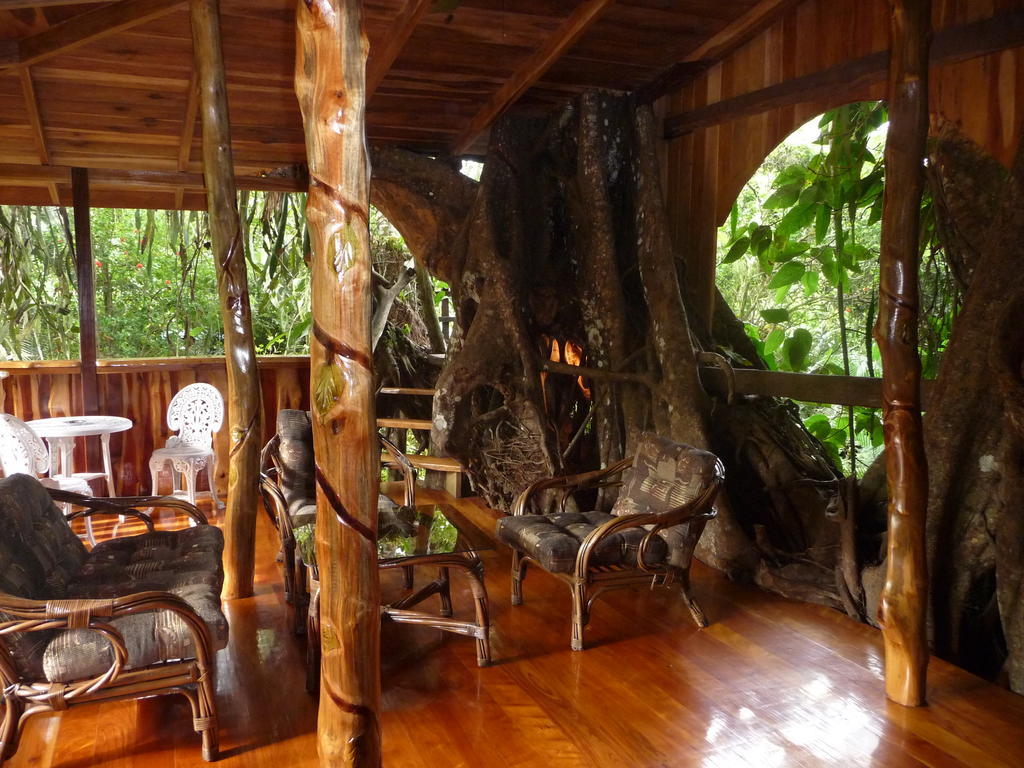 Topos Tree House كويتا المظهر الخارجي الصورة