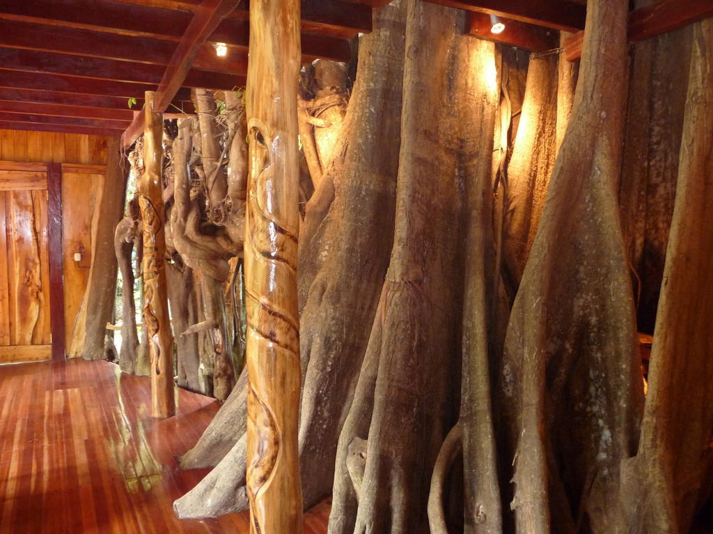Topos Tree House كويتا المظهر الخارجي الصورة
