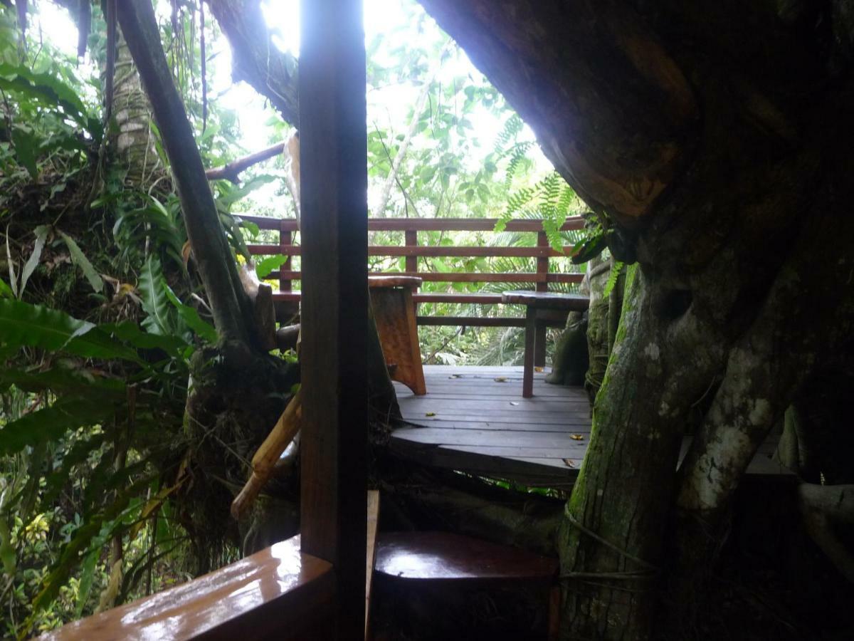 Topos Tree House كويتا المظهر الخارجي الصورة